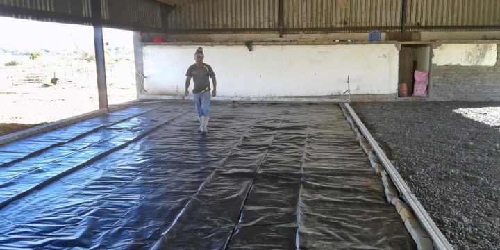 Alfalfa Cheese factory – Floor preparation for concrete casting