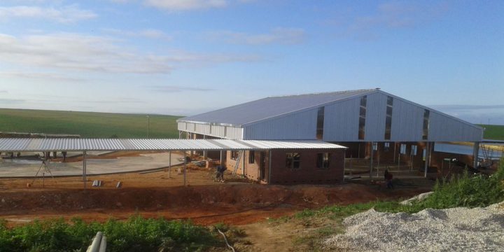 Daan Landman Dairy construction