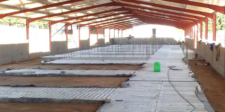 Piggery construction – Concrete and steel floor work