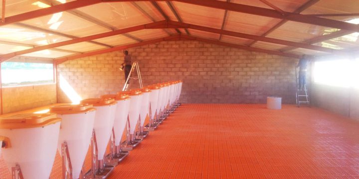 Piggery construction – Floor assembly