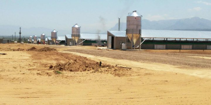 Poultry – willow creek finished
