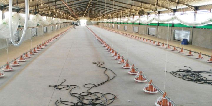 Poultry – willow creek inside work