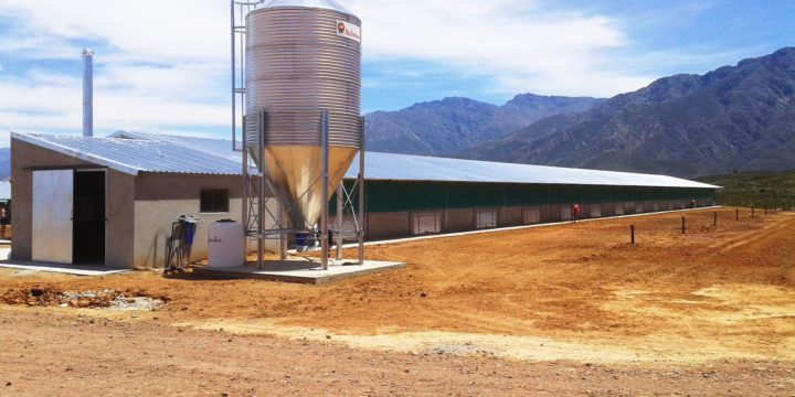 Poultry – willow creek roof work