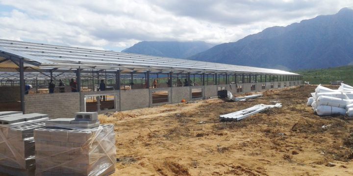 Poultry – willow creek steelwork